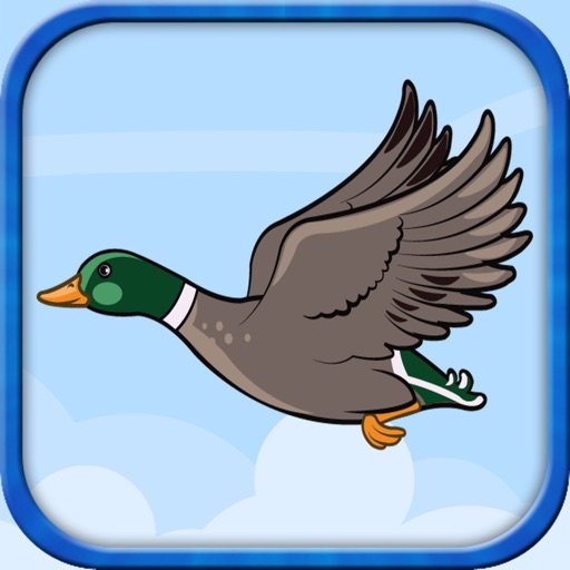 Flying Duckling - Endless adventure of a little duck