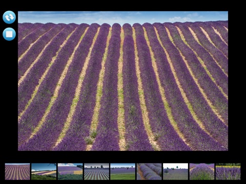 Lavander, Provence and French Riviera screenshot 3