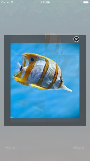 Fish and Water Jigsaw Puzzle(圖3)-速報App