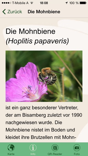 Unsere Wildbienen(圖3)-速報App