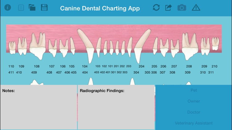 Pet Dental Charting- For veterinarians and technicians, Digital solution for dental charting