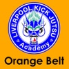 Orange Belt Kick Jutsu