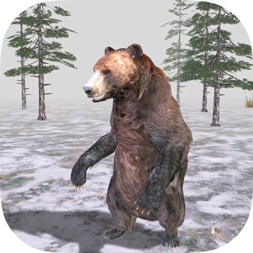 Bear Forest 3D Simulator iOS App