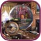 Domestic Mystery Hidden Objects