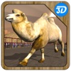 Camel Racing Simulator 3D - Real derby sport simulation game