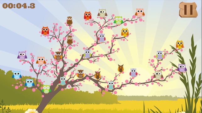 Owls - Learn fun facts about owls while finding matching pai(圖1)-速報App