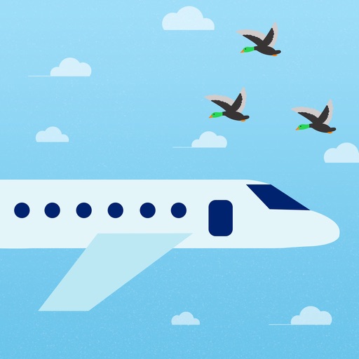 Flappy Plane - Avoid the ducks Icon