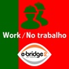 PT Work - e-Bridge 2 VET Mobility