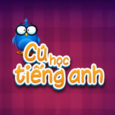 Activities of Cú Chăm Chỉ