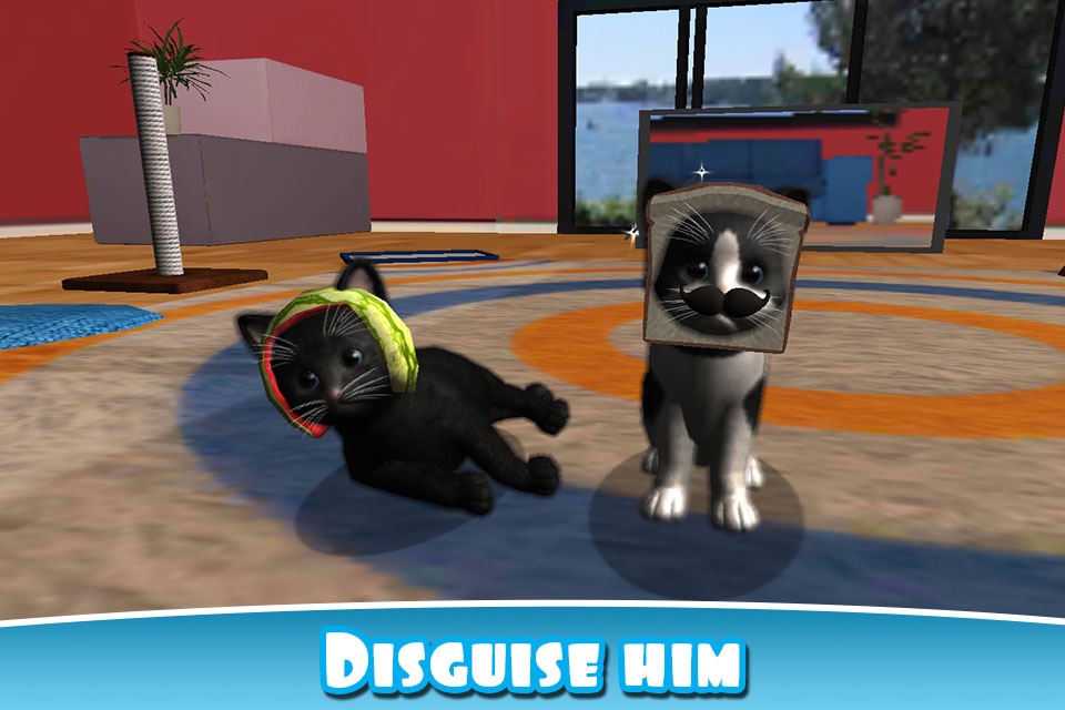 Daily Kitten : virtual cat pet screenshot 4