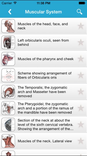 Gray's Anatomy Pro 2014(圖3)-速報App