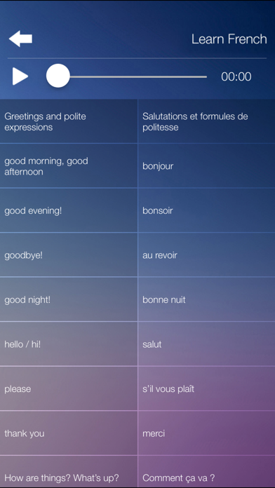 Learn FRENCH Fast and Easy - Learn to Speak French Language Audio Phrasebook and Dictionary App for Beginners Screenshot 3
