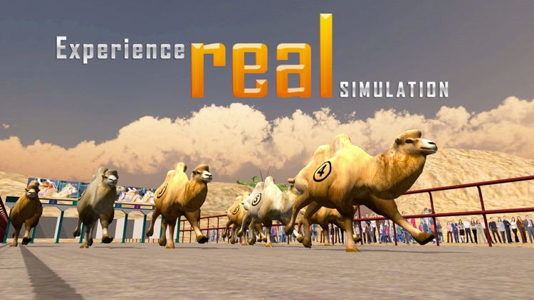 Camel Racing Simulator 3D - Real derby sport simulation game