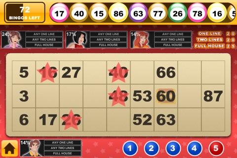 Bingo90 2013 screenshot 3