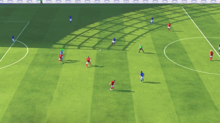 3D Football Simulator screenshot-4