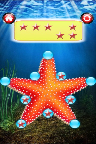 Star Fun Puzzle screenshot 2