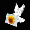 Air Photo Wifi Printing Air Photo Wifi Printing