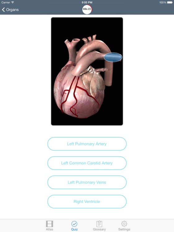 Physiology Human Atlas screenshot-4