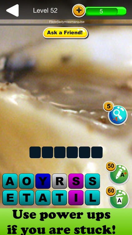 Zoomed Pic Quiz - Guess All The Animals In This Brand New Photo Trivia Game