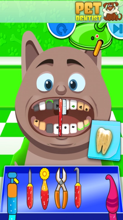 Pet Dentist - Crazy Teeth Office by Bram Smit