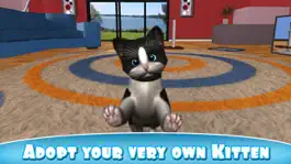 Game screenshot Daily Kitten : virtual cat pet mod apk