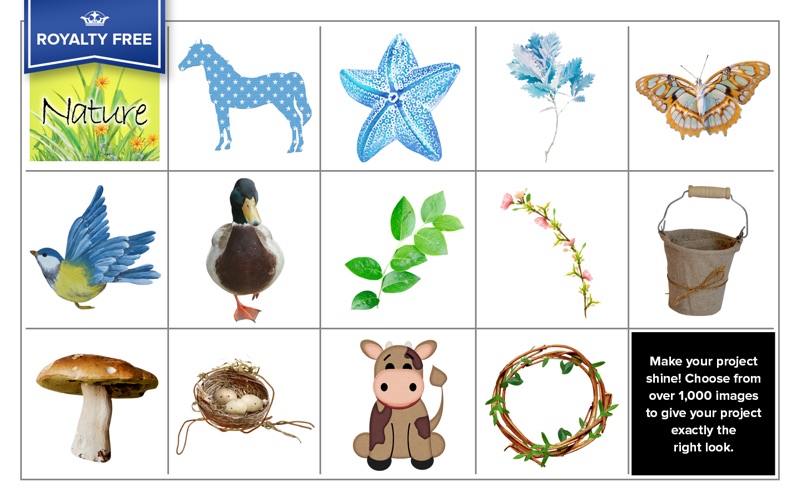 RF Nature Image Collection thumbnail 4