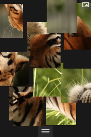 Puzzlemania Premium - Make your photos puzzles screenshot 2