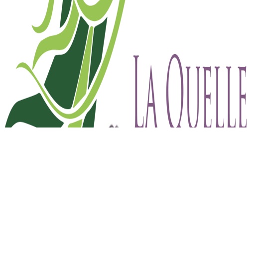LaQuelle Hair icon