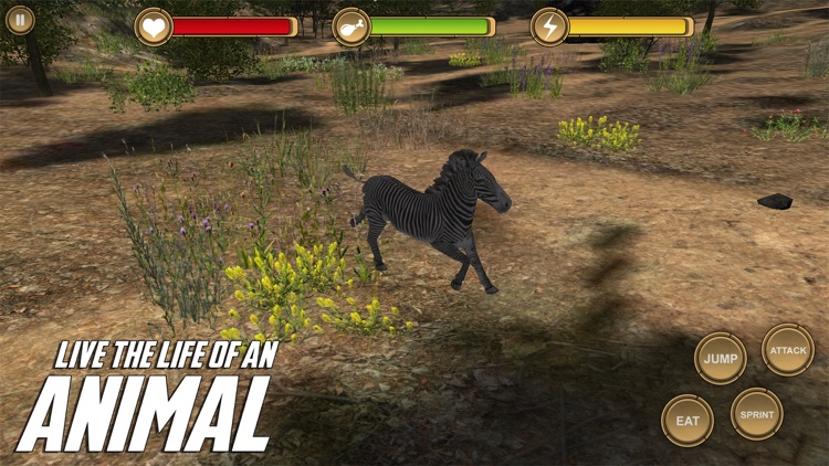 Zebra Simulator HD Animal Life