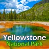 Yellowstone National Park Travel Guide