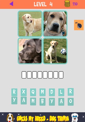 Dog Breeds Quiz & Trivia Game - Guess my breed! (Free) screenshot 4