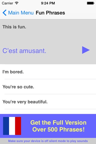 Speak French Phrasebook Lite screenshot 3
