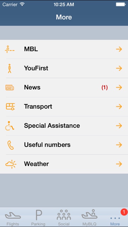 BLQ - Bologna Airport screenshot-4