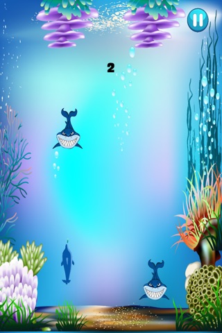 Dolphins vs Sharks Survival Craze - Fun Master of the Sea Challenge Free screenshot 3