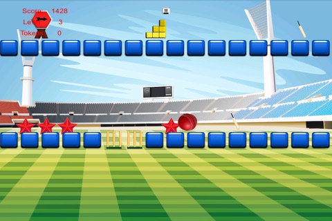 A T20 Power Ball Cricket Premier Fever - Worldcup Bowling Championship Free screenshot 3