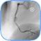 CARDIO3® Atlas of Interventional Cardiology is a CARDIO3®INVASIVE project – reference/learning tool for cardiologists, cardiac surgeons, internists, other physicians evaluating interventional images in cardiology