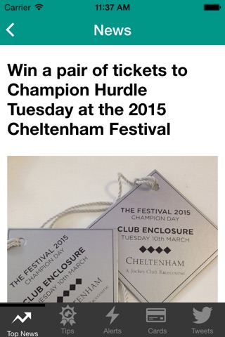Cheltenham Festival News screenshot 3