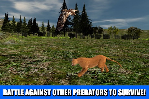 Wildlife Survival 3D: Puma Cat Full screenshot 2