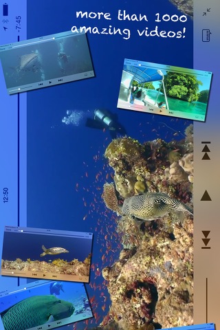 Scuba Diving - Amazing underwater world screenshot 2