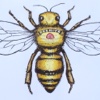 Ark Hive Bee