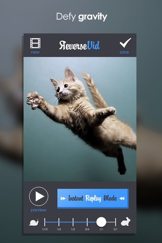 Reverse Vid + Backward Playing Video Rewinder for Vine and Instagram screenshot 4