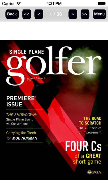 Single Plane Golfer