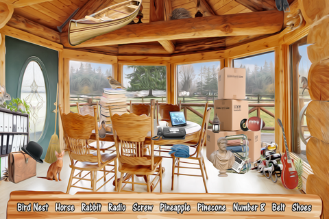 A letter For William: Hidden Object screenshot 3