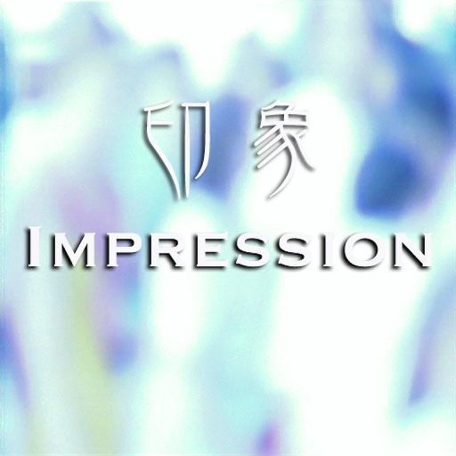 Impression trip" visual supplement 2 "music & video