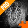 Black And White Jigsaw Pro Edition -  Everyday Quest Collection