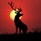 A Deer Hunting wallpaper app full of HD images