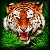 Safari Wildlife: Tiger Simulator 3D Full