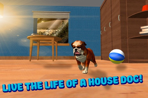 House Dog Survival Simulator 3D screenshot 4