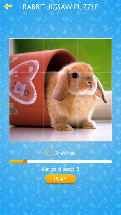 Rabbit Jigsaw Puzzles
