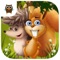 Four little forest animals invite kids to play and learn in the magical forest